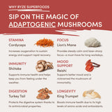 RYZE Mushroom Chai Starter Bag - 5VZL