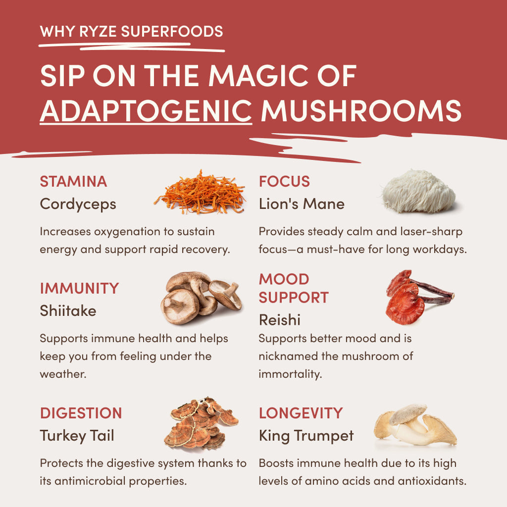 RYZE Mushroom Chai Starter Bag - 5VZL