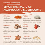 Mushroom Coffee (1 pack - 30 Servings) - Z0H7