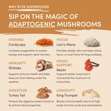 Mushroom Overnight Oats (14 Servings) - ETE3