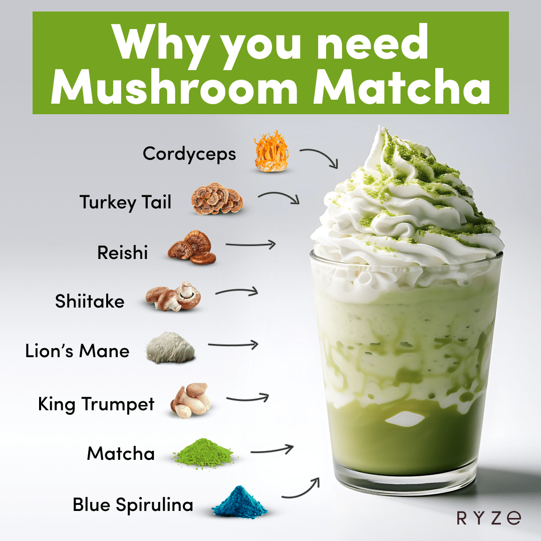 RYZE Organic Mushroom Matcha Starter Kit (60 servings) - OWA8